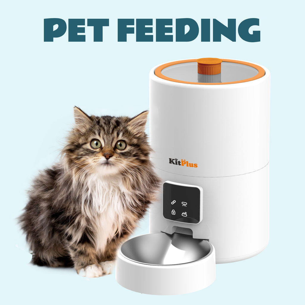Pet Feeding