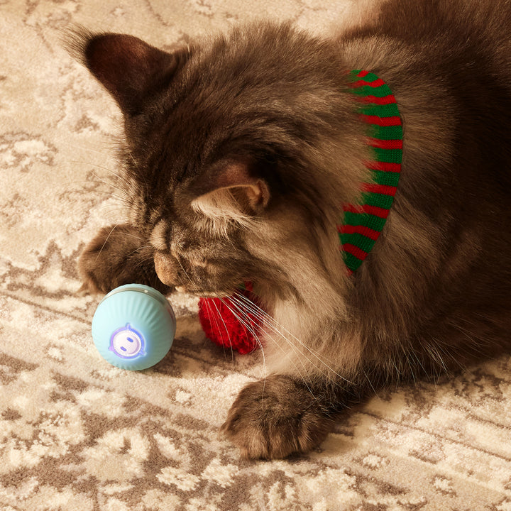 KITPLUS PlayfulPaws Interactive Cat Ball