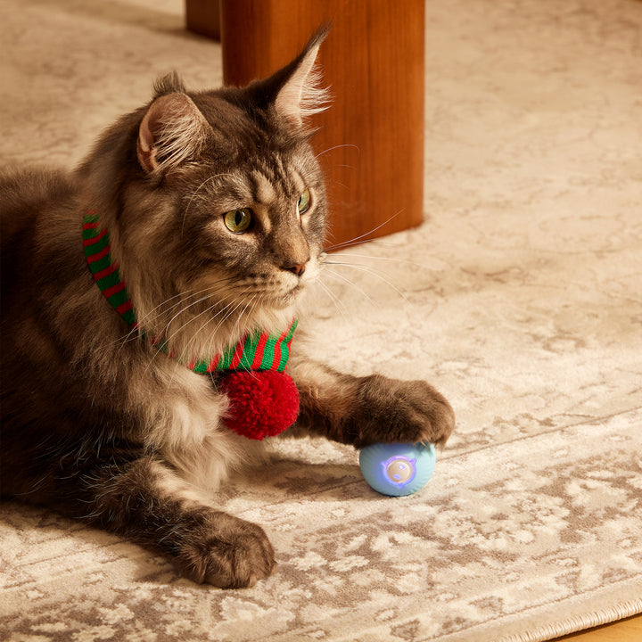 KITPLUS PlayfulPaws Interactive Cat Ball