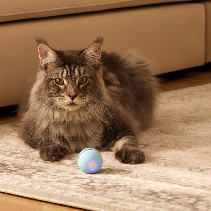 KITPLUS PlayfulPaws Interactive Cat Ball