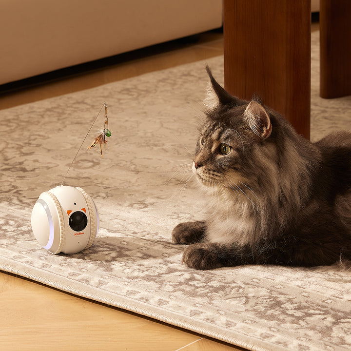 KITPLUS PetPal Robot