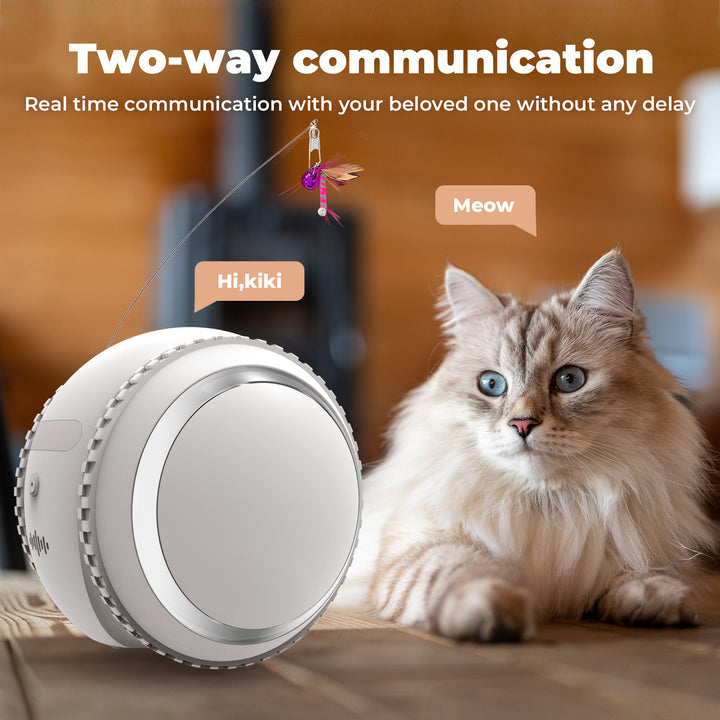 KITPLUS PetPal Robot