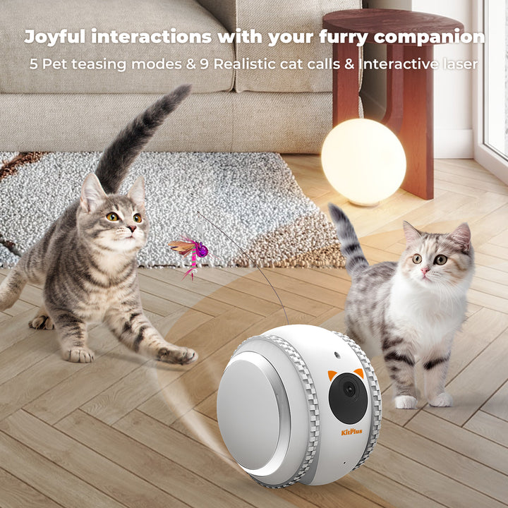 KITPLUS PetPal Robot